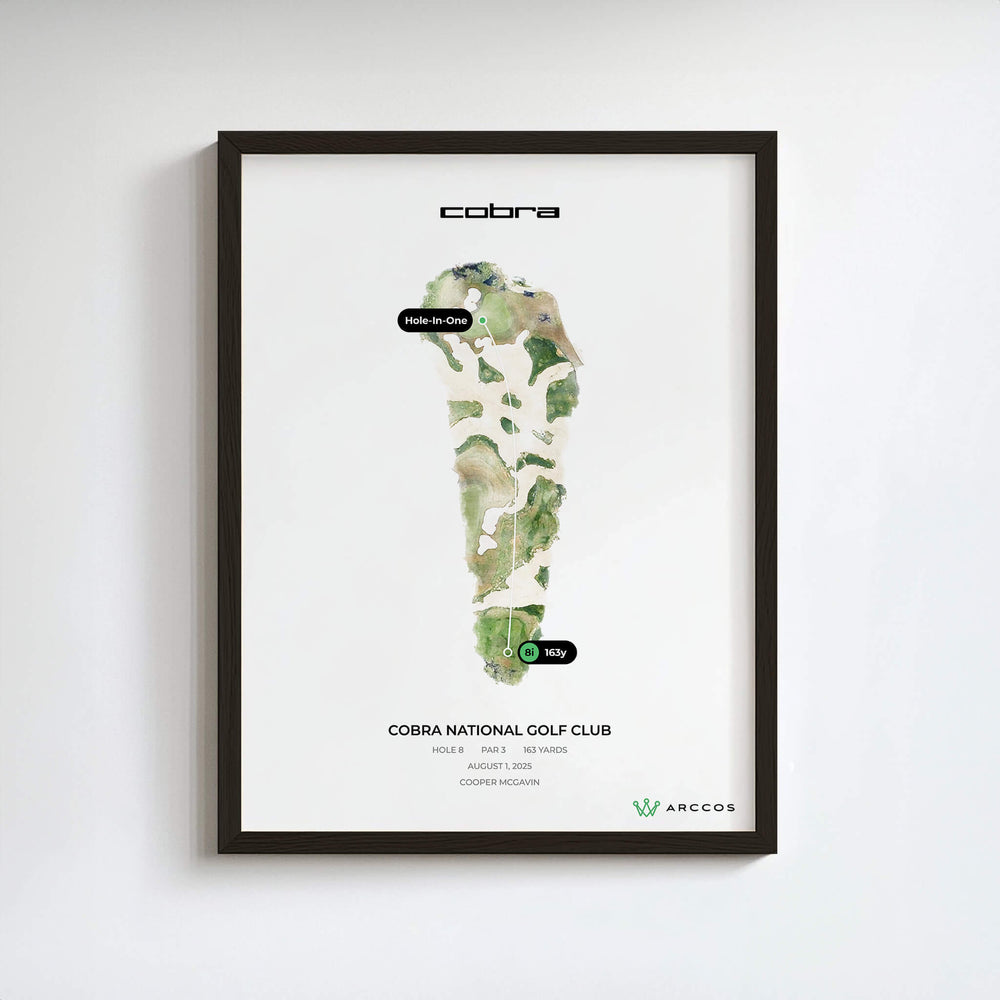 COBRA Custom Hole Prints